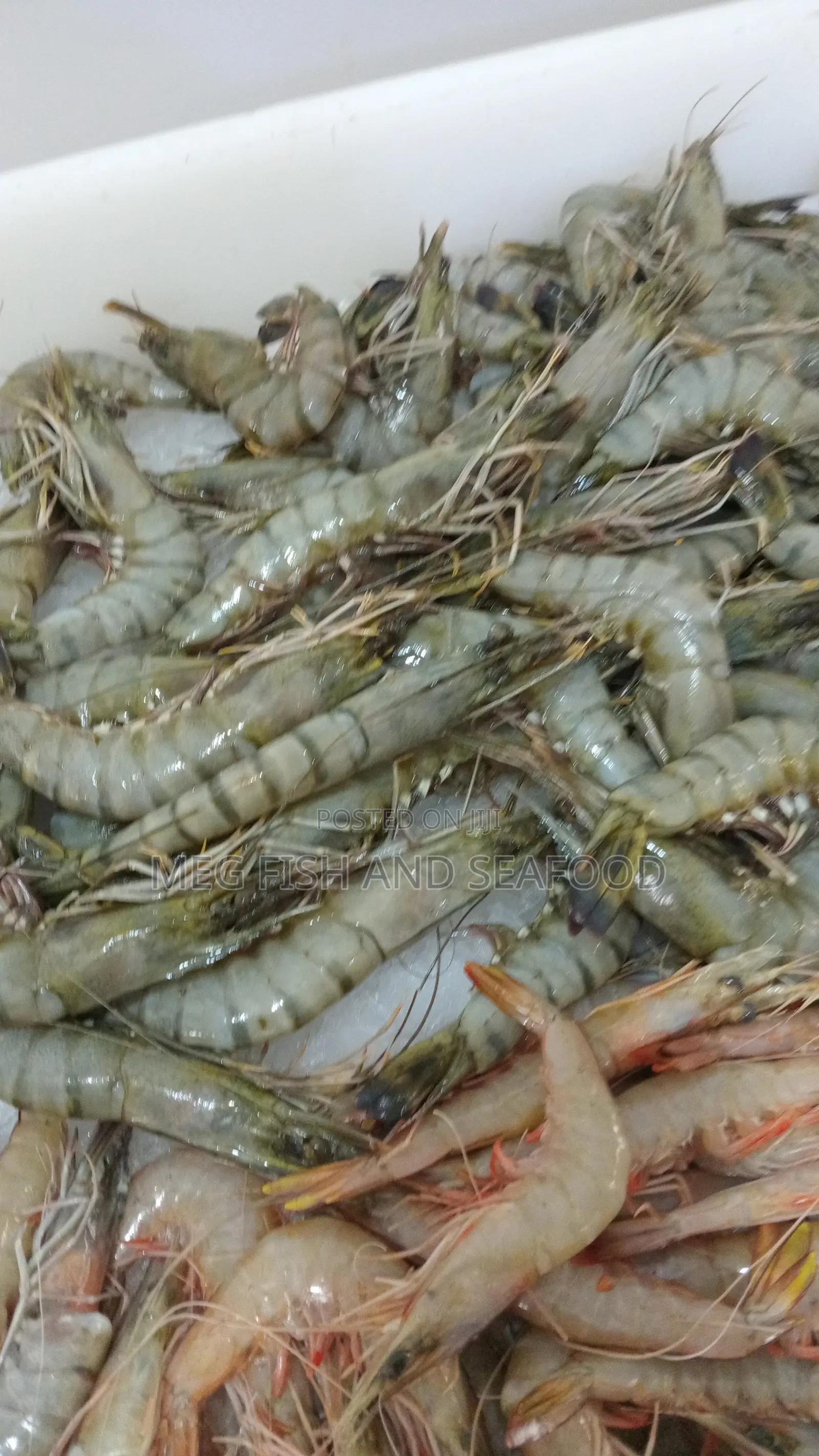 Tiger Prawns