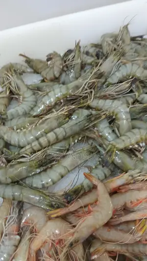 Tiger Prawns