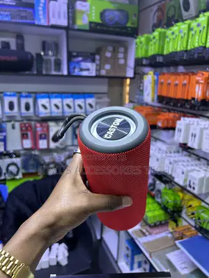 Caston St-C88 Portable Bluetooth Speaker – Hi-Fi Sound