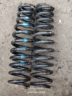 Mercedes Benz 124 Front Springs