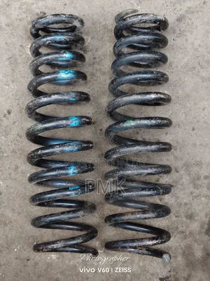 Mercedes Benz 124 Front Springs