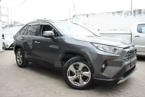 Toyota RAV4 2020 Gray