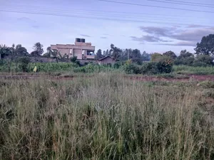 Greenridge Murera Coffee Ruiru Plot