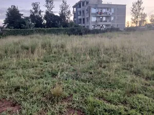 Greenridge Murera Coffee Ruiru Plot