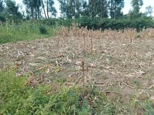 50 by 100 Burumba Busia Town