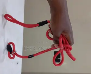 Slip Leash and Collar Combo for Dogs