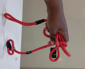 Slip Leash and Collar Combo for Dogs