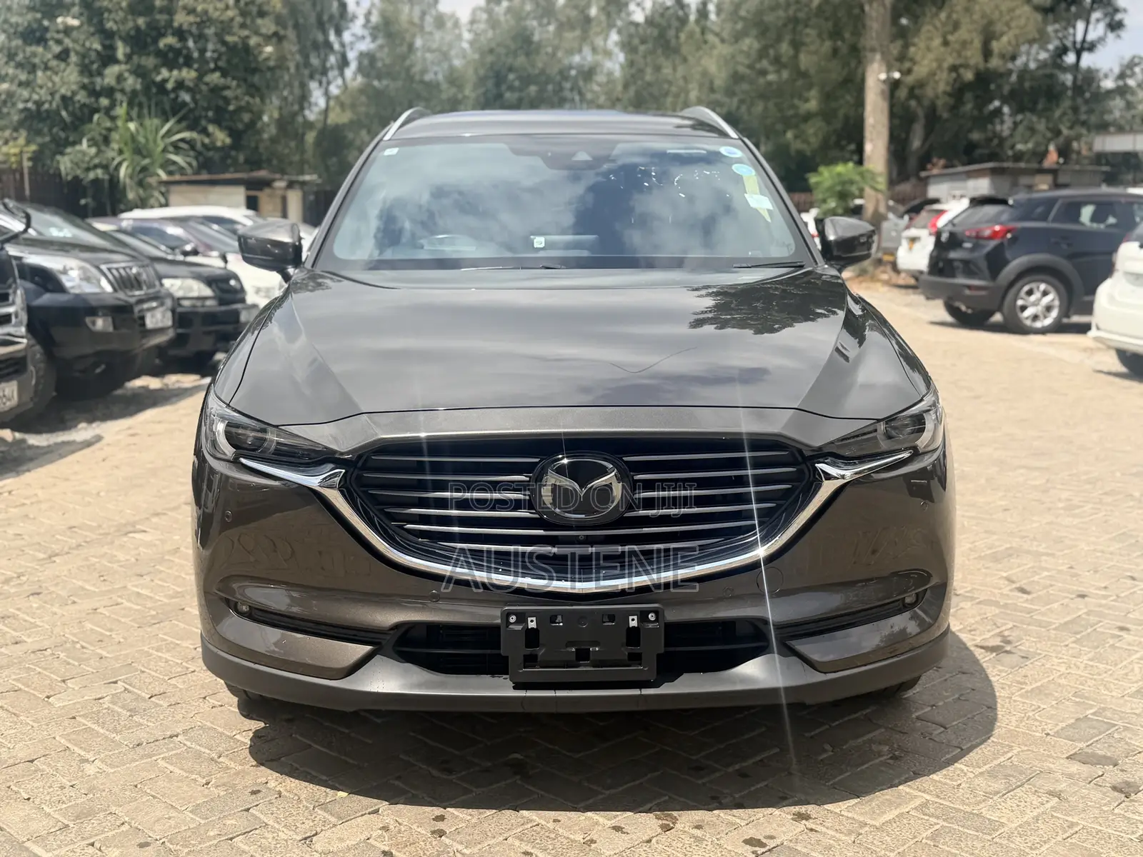 Mazda CX-8 2020 Brown