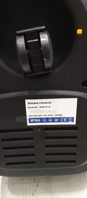 Portable Toller Steam Cleaner Machine 2000w