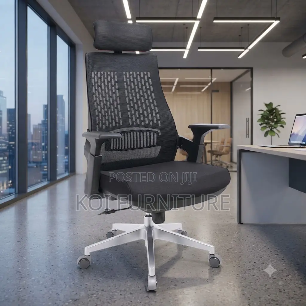 Office Chairs; High Back Oerthopedic Lamarre Office Chair