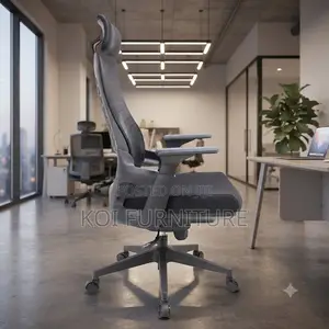 Office Chairs; High Back Oerthopedic Lamarre Office Chair