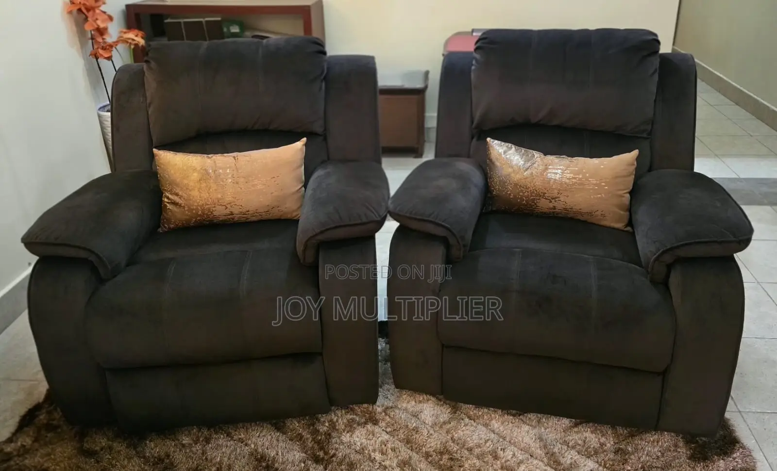 Two Single Recliners in Perfect Condition
