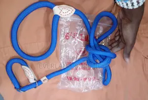 Thick Dog Colored Slip Leash