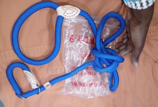 Thick Dog Colored Slip Leash