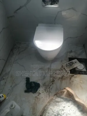 Professional Plumber