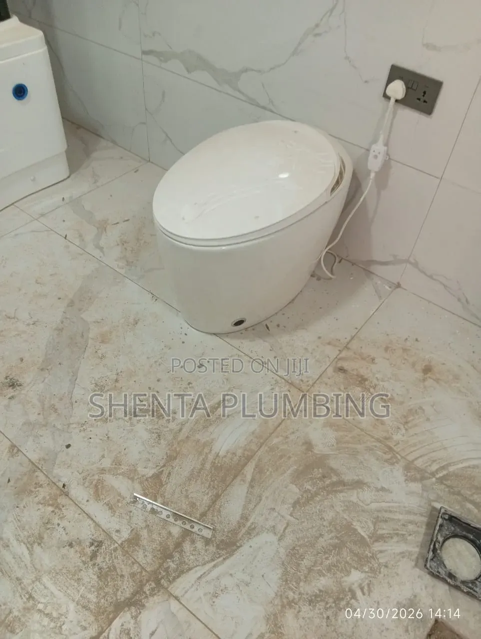 Professional Plumber