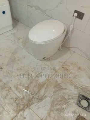 Professional Plumber