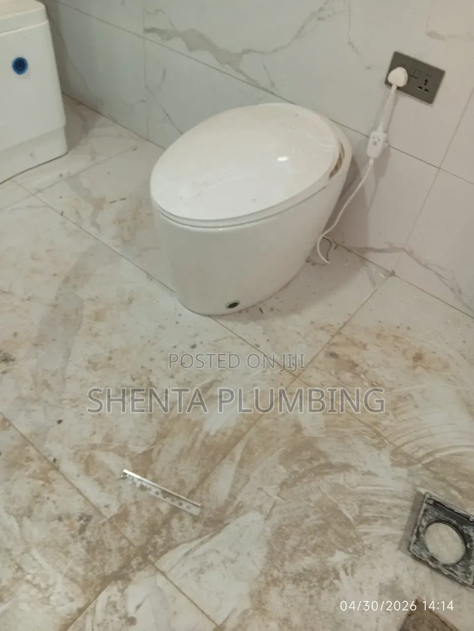 Professional Plumber