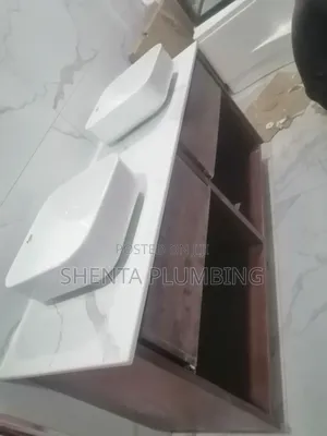 Professional Plumber