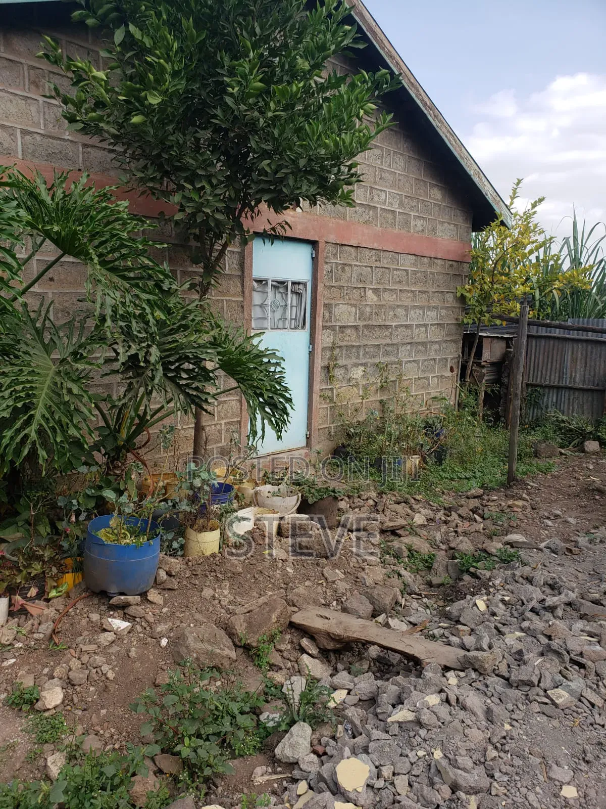 Kahawa Wendani Plot