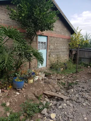 Kahawa Wendani Plot