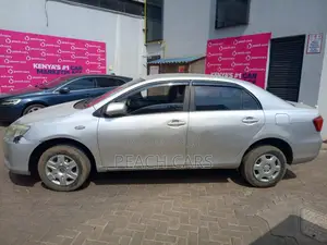 Toyota Axio 2007 Silver