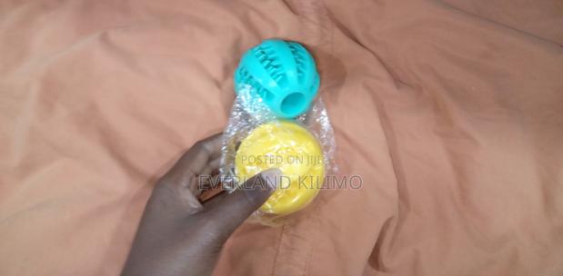 Dogs Treat Ball Small
