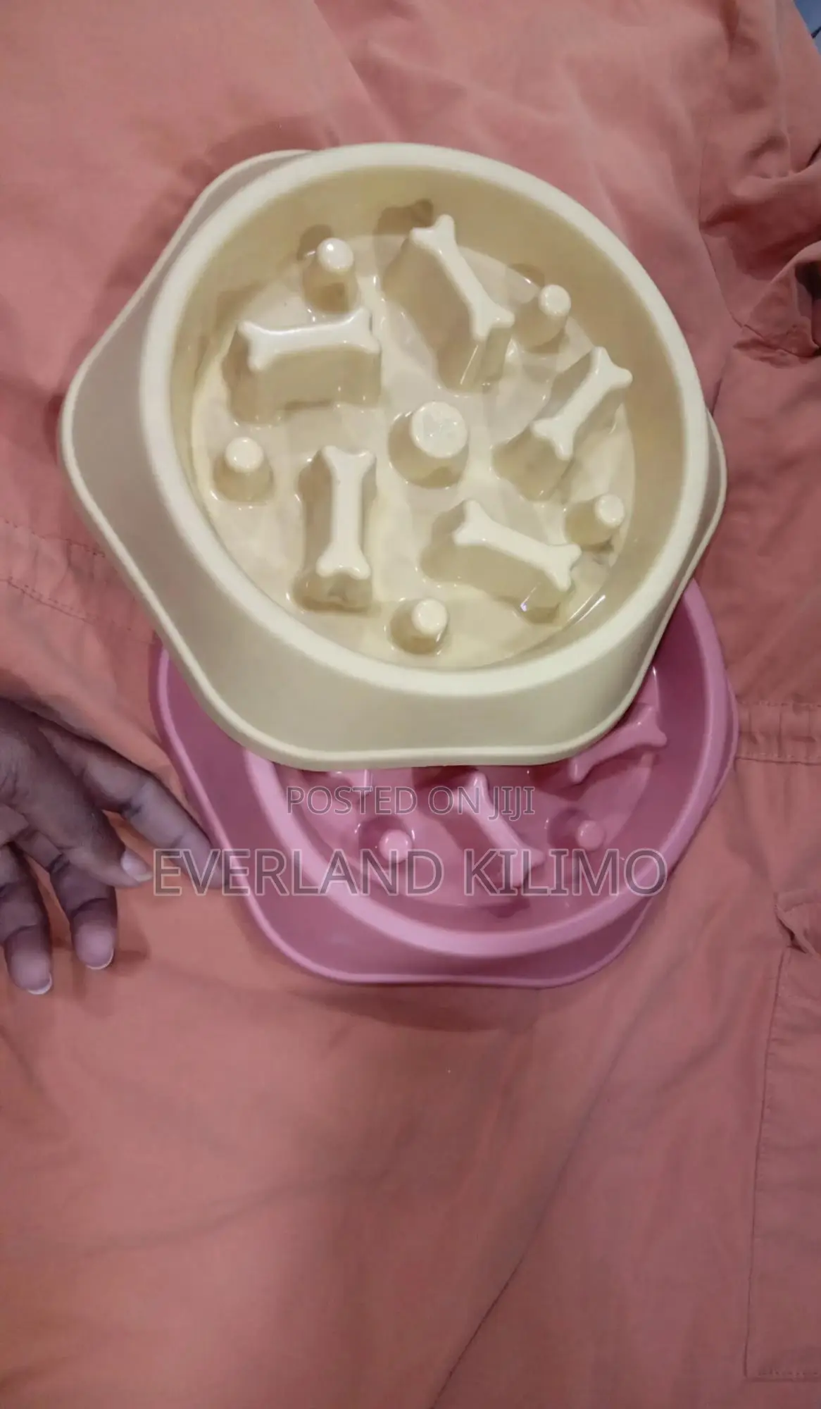 Slow Pet(Dog) Bowl for Fast Eaters