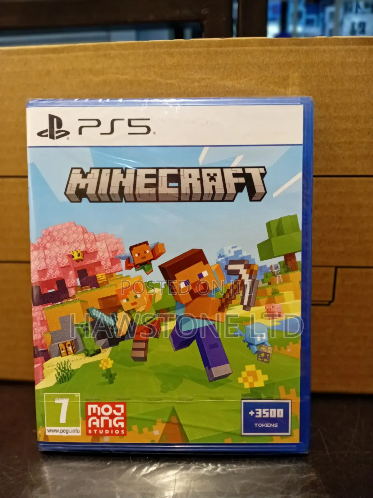 Playstation 5 Minecraft