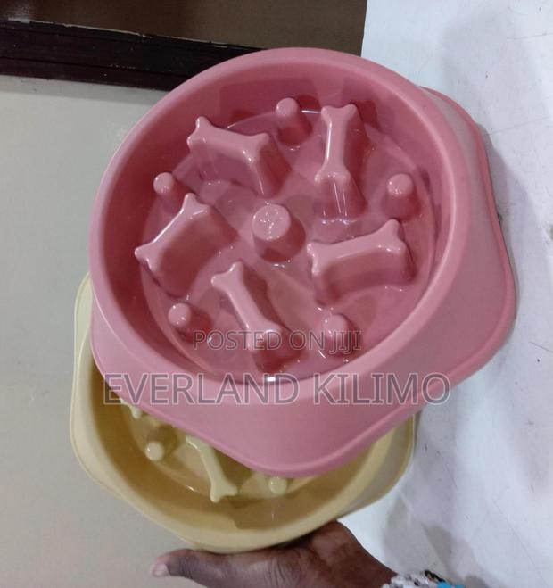 Puzzle Colored Slow Dog Bowl
