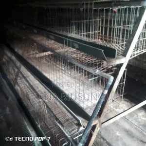 Cage's Carys 300 Birds