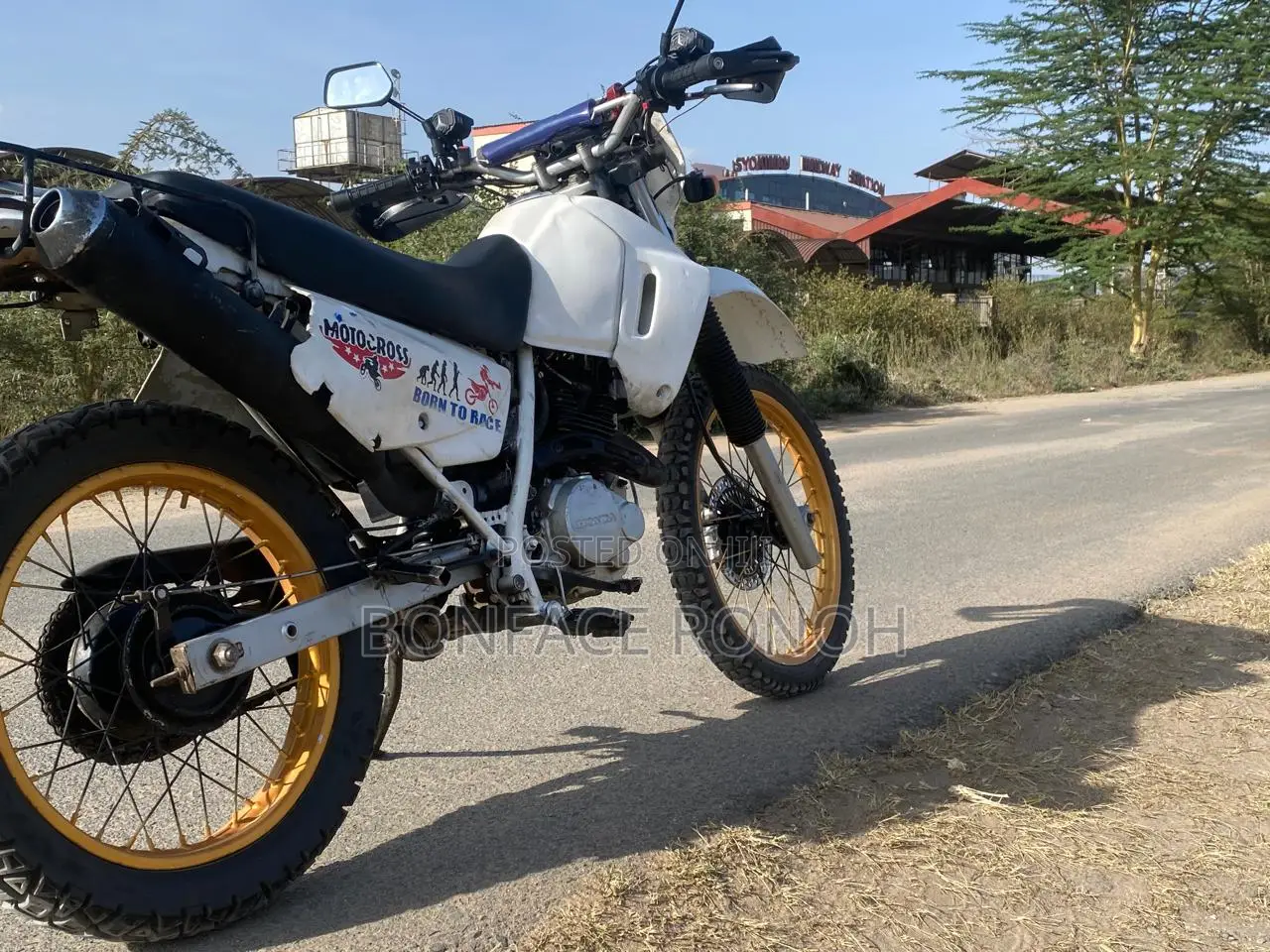 Honda 2005 White