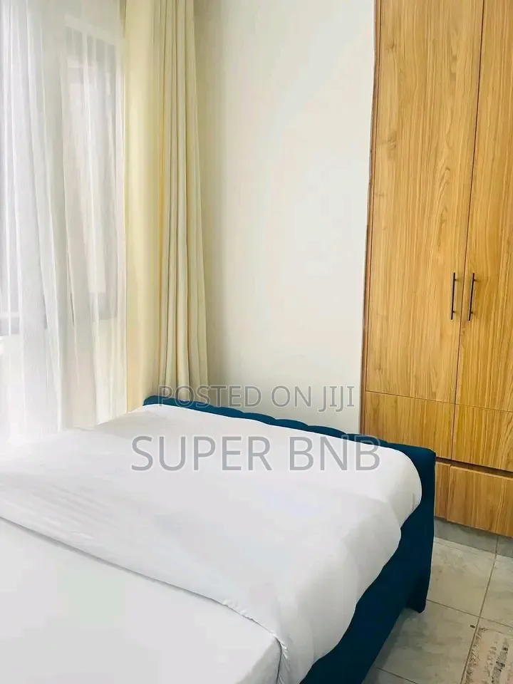 Fully Furnished Studio Apartment at Tsavo Fedha