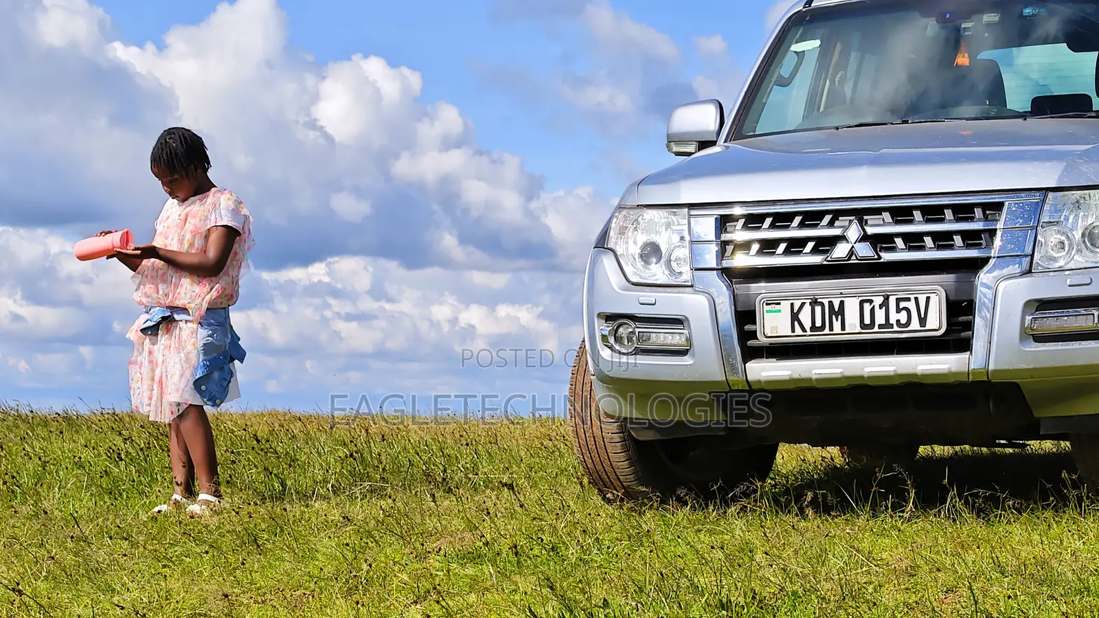 Mitsubishi Pajero 2016 Silver
