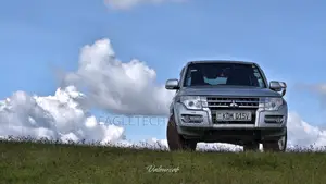 Mitsubishi Pajero 2016 Silver