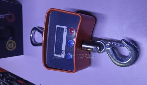 500kg Weighing Scale/Hanging Scale