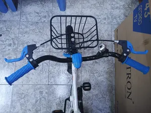 Kids Cartoon Themed Bicycle