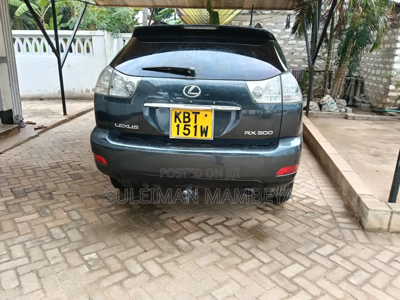 Lexus RX 2005 Gray