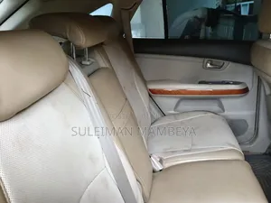 Lexus RX 2005 Gray