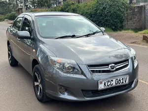 Toyota Axio 2008 Gray