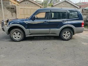 Mitsubishi Pajero 2003 Blue