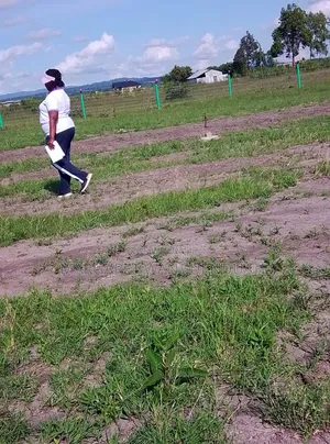 Juja Plots For Sale