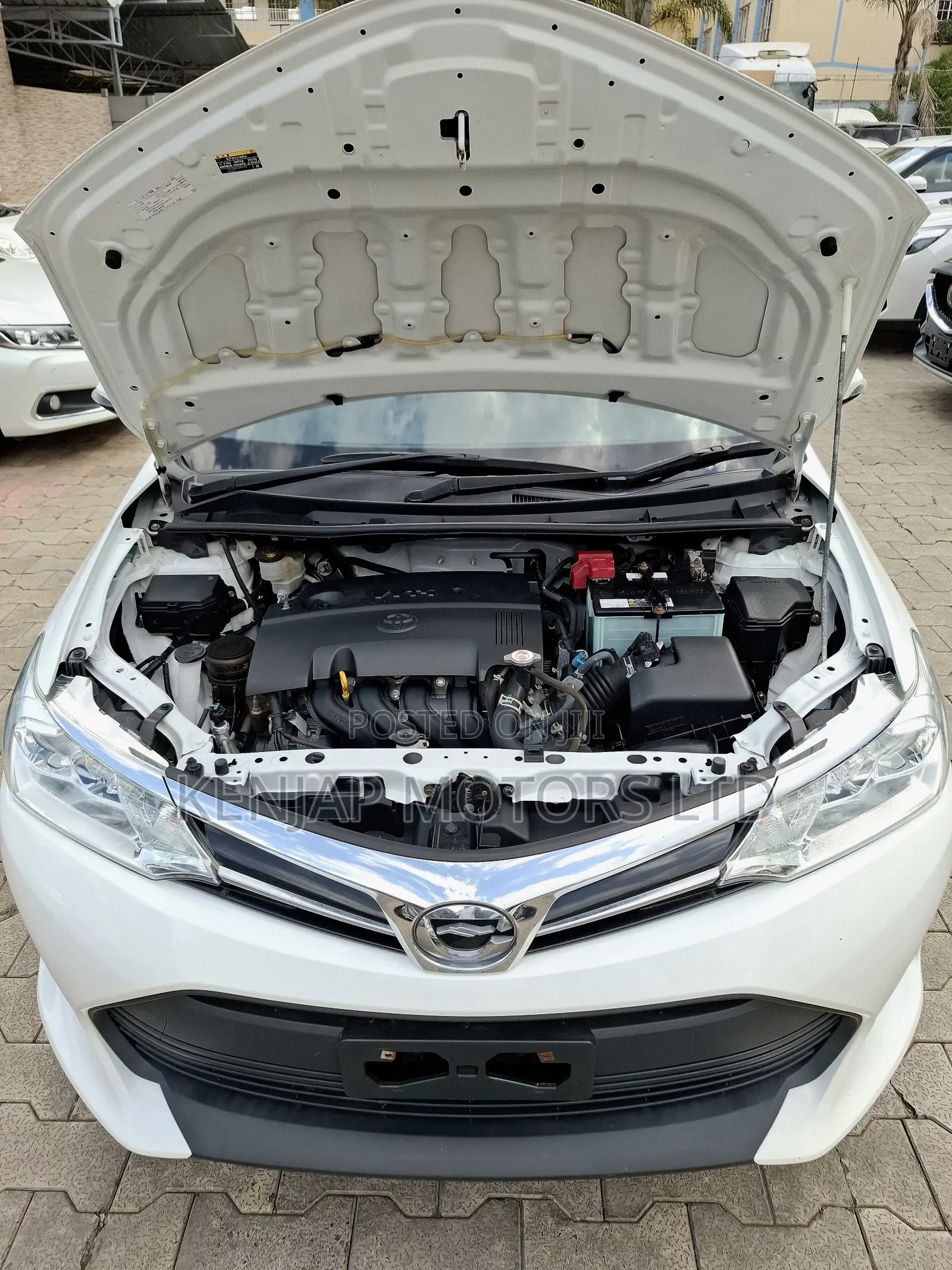 Toyota Corolla Fielder 2020 Pearl