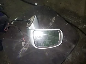 Tiida Side Mirror