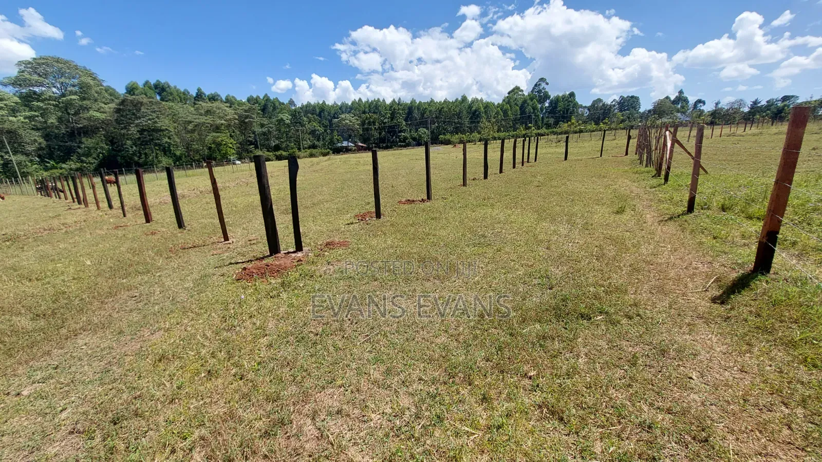 3 Acres for Sale in Kitale (Baraton)