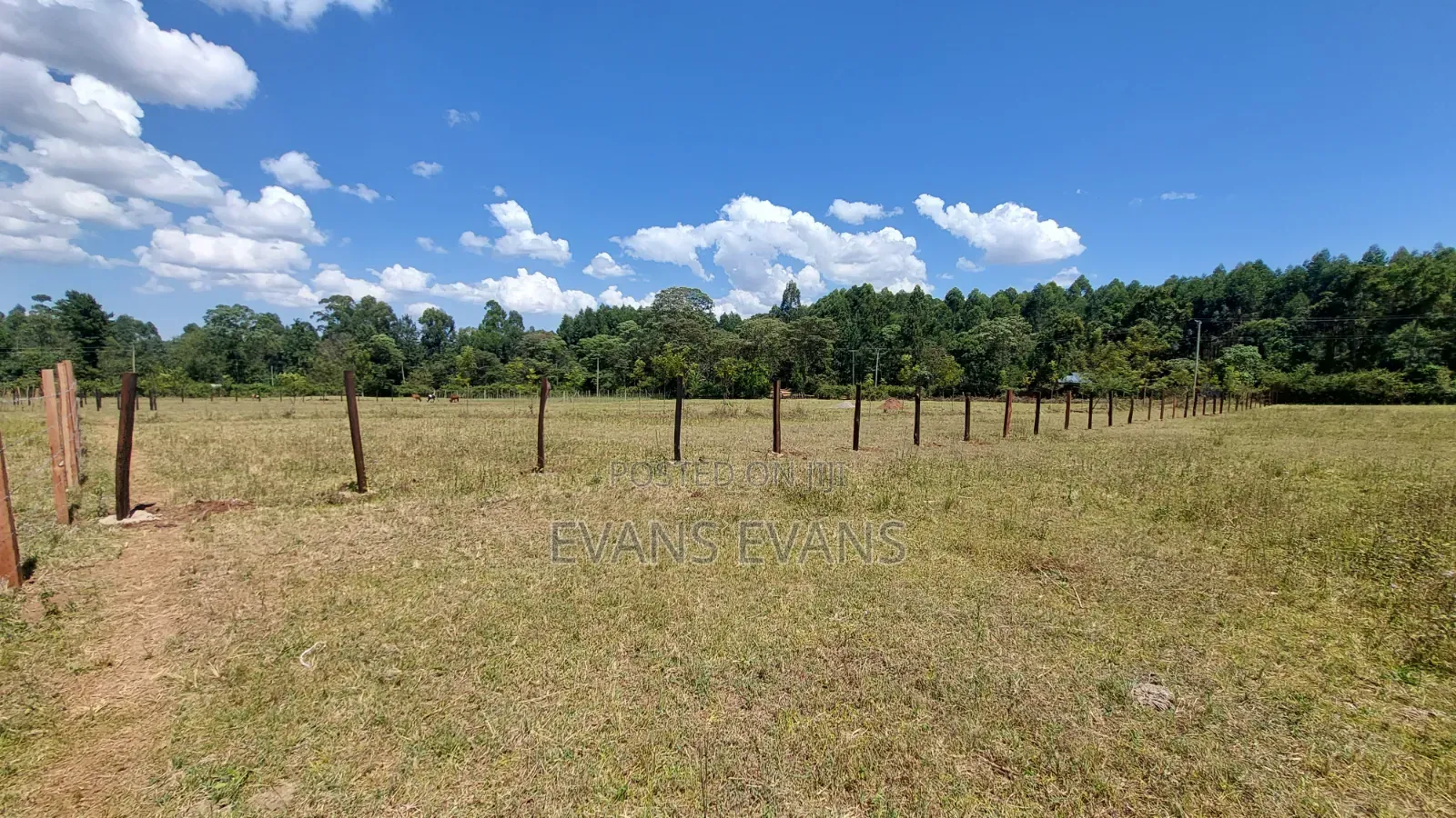 3 Acres for Sale in Kitale (Baraton)