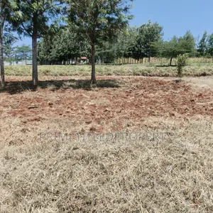 6 Acres at Mua Hills Best for a Homestead