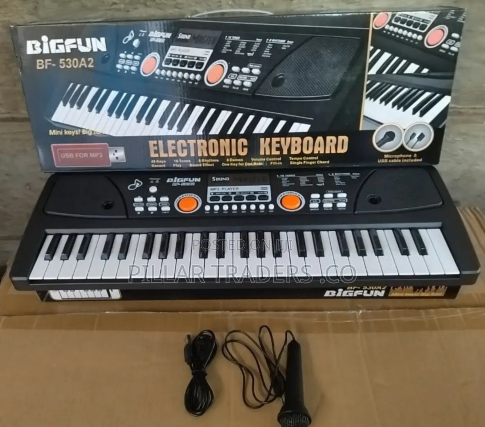 Bigfun 49-Key Electronic Keyboard Piano With Microphone Usb Mp3