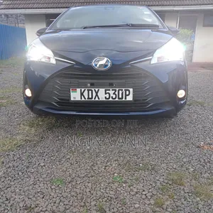 Toyota Vitz 2019 Blue