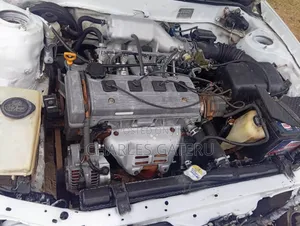 Toyota Corolla 2000 White